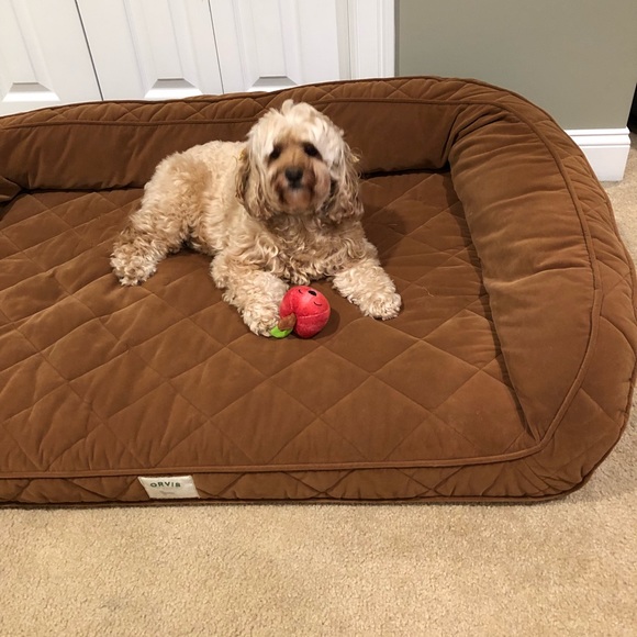 Meet your Posher, Myra - Picture 3 of 3